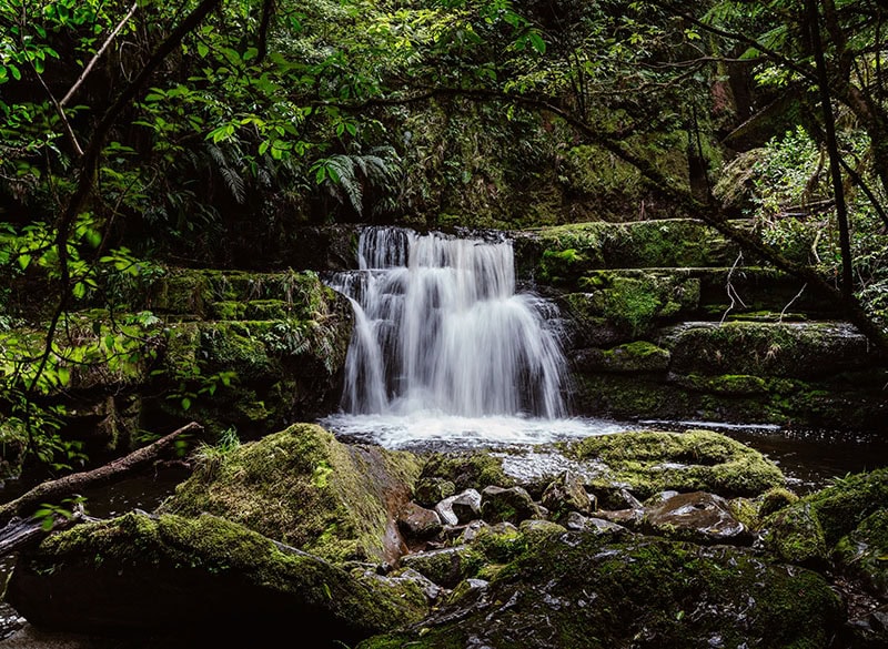 catlins waterfall